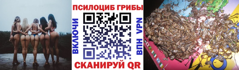 Купить закладки  Ростов-на-Дону  Галлюциногенные грибы Cubensis 